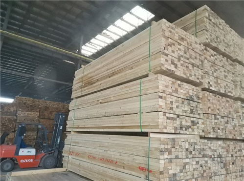 鐵嶺建筑木方、木跳板與落葉松批發 建材市場的可靠選擇